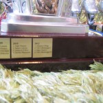 MIędzynarodowy Turniej NAKI - CUP 2013 - puchary i medale - 20